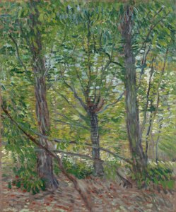 Arbres - Vincent van Gogh